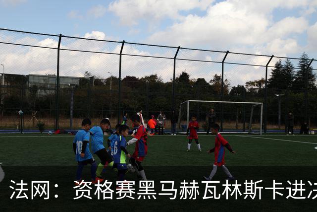 法网：资格赛黑马赫瓦林斯卡进决赛创历史 将与安德烈耶娃争冠